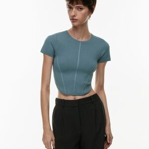 NWT Aritzia Babaton Sculpt Knit Bustier Top